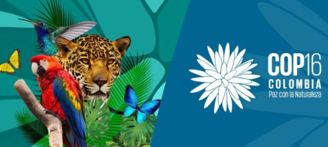 Industrie minière, Quand la Guyane dit NON c’est NON !