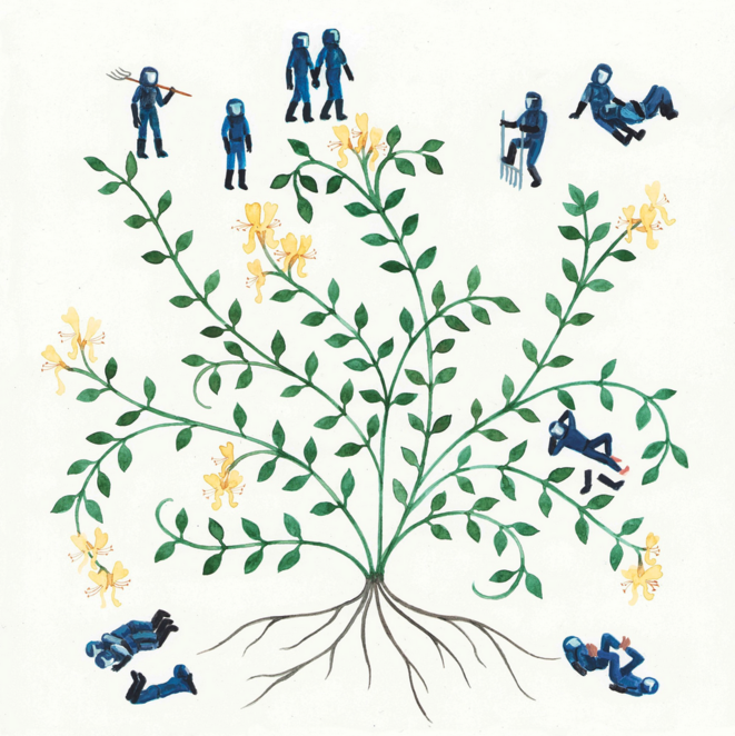 Sonya, éborgnée sans suite