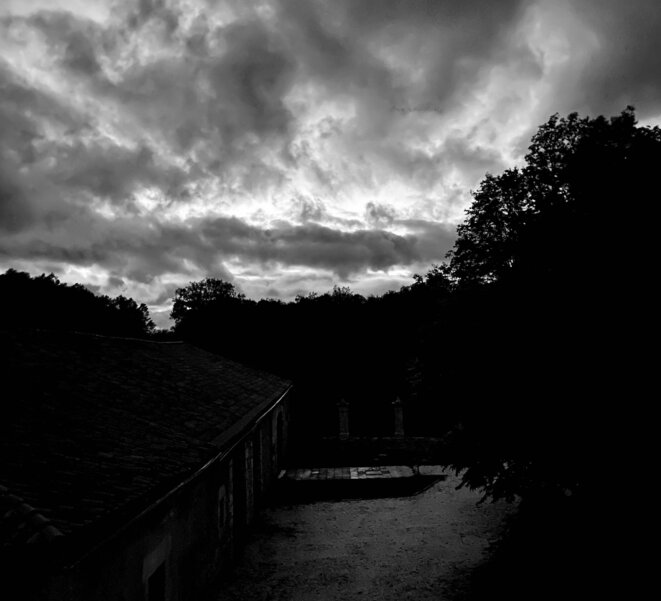 Musk-Trump: comment bien organiser le chaos