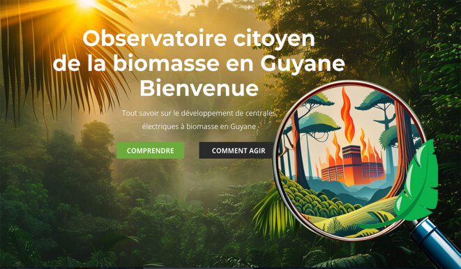 Cop16 :  les fausses promesses de la biomasse énergie en Guyane !