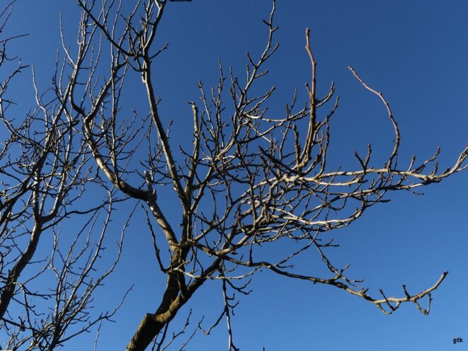 La vie, la mort, tout ça…