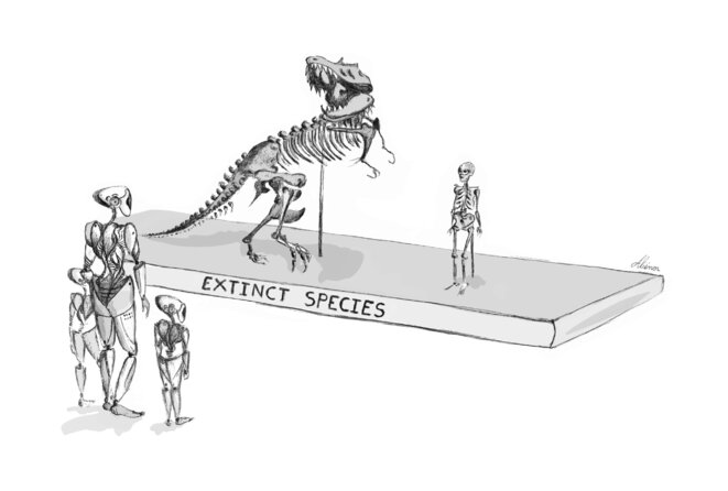 Muséum d’Histoire naturelle