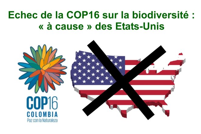 Echec de la COP16 sur la biodiversité : "à cause" des Etats-Unis
