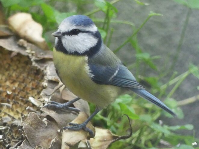 La haine de l’autre hissée au pinacle