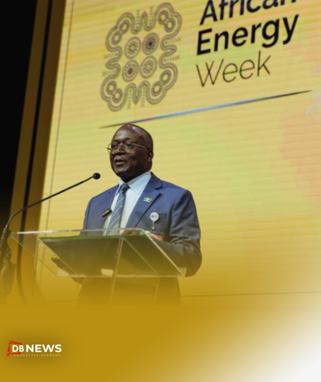 Le Gabon dévoile sa nouvelle stratégie énergétique à l'AEW 2024