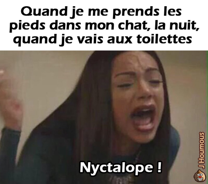 J'ai appris un nouveau mot