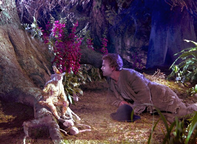 Cœur de pierre (Das kalte Herz) de Paul Verhoeven