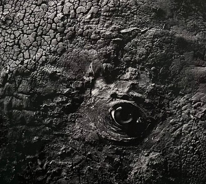 Apocalypse photo, le réalisme traumatique de Geert Goiris