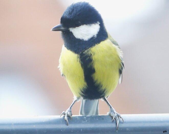 Tout est dans le regard