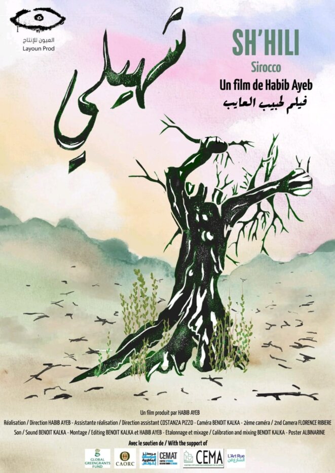 Documentaire : « Sh’hili », le sirocco aussi achève les oliviers et les hommes