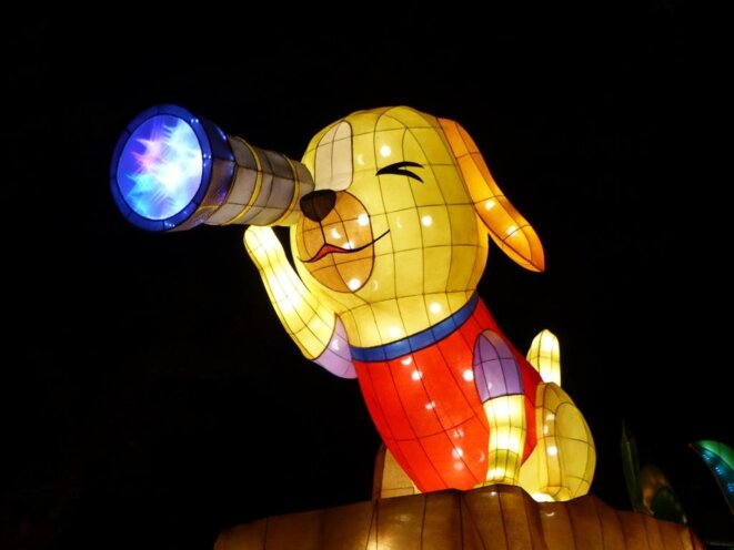 Les voies de la Kréolisation accompagnent ces incroyables traversées du Tout-Monde !