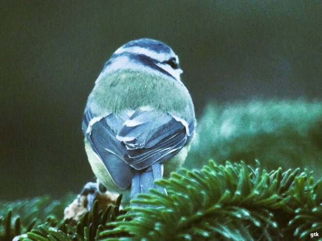 A bons entendeurs…