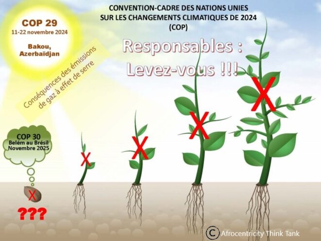 COP 29 - changement climatique, Changer de format et de logiciel culturel décisionnel