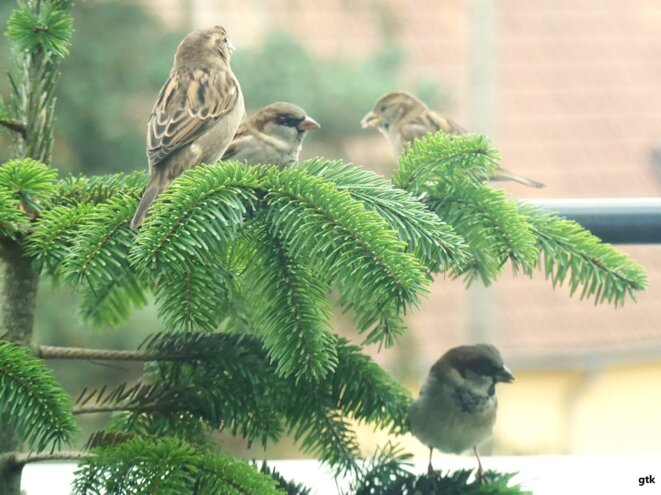 Je suis venu vous dire que je m’en vais