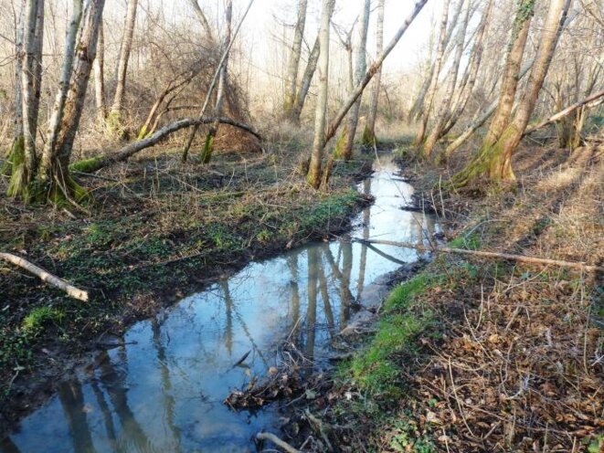 Le destin d'un ruisseau.