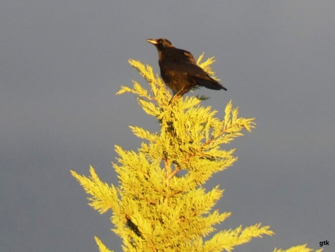 Les priorités du Premier ministre