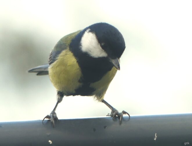 C’est la journée de la solidarité humaine
