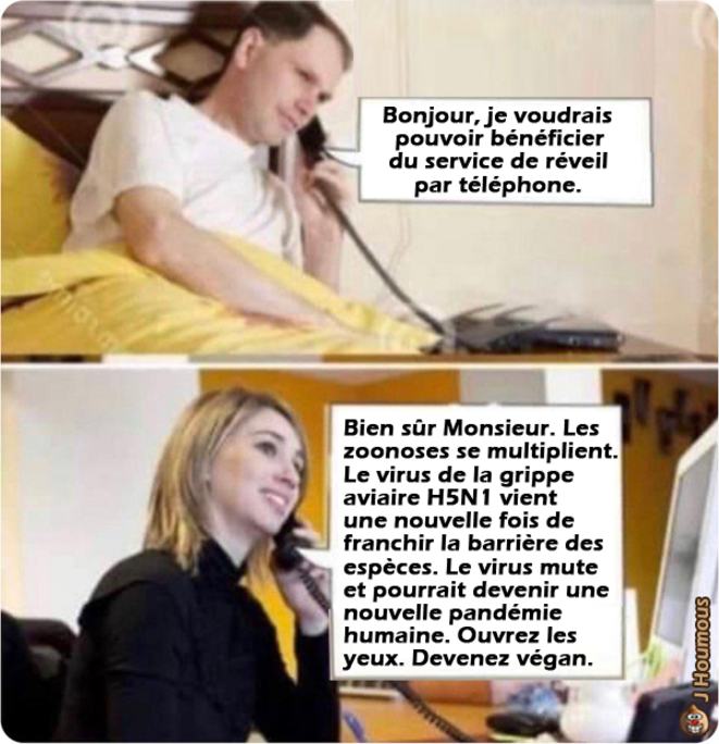 H5N1 et le risque de nouvelle pandémie