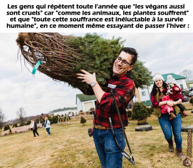 "Les sapins de Noël aussi ils souffrent !"