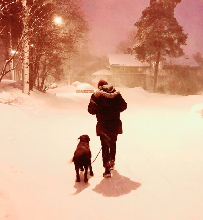 Hommage à Timo Kaitaro