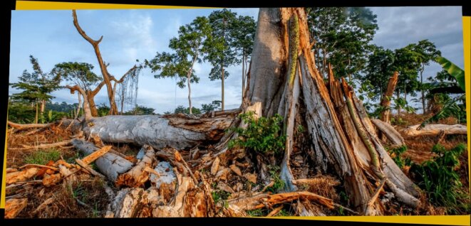 Le chocolat, une passion coupable ?