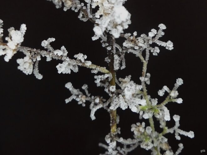 Le magasin est grand ouvert