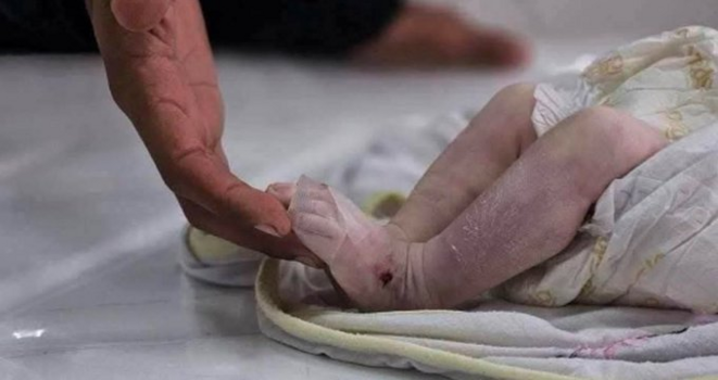 Bébés morts de froid ou dévorés par des chiens errants : la « normalité » à Gaza