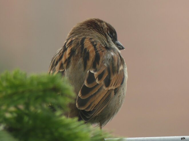 Remettre le monde à l’endroit