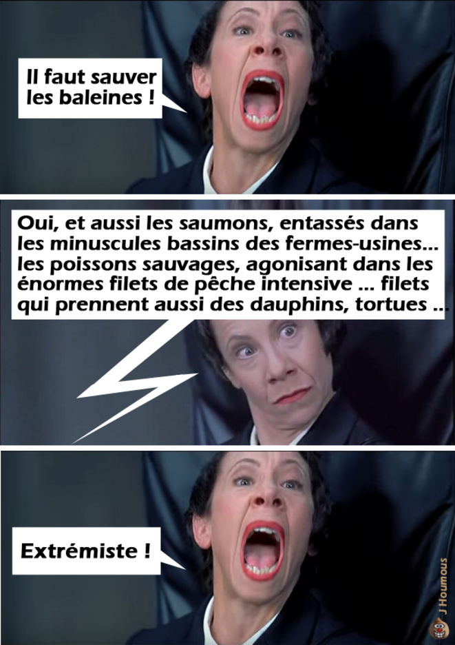 Il faut sauver les baleines !