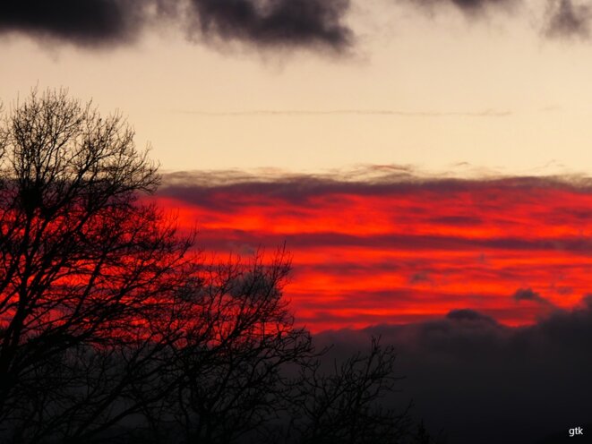 La Palestine, un grand pays