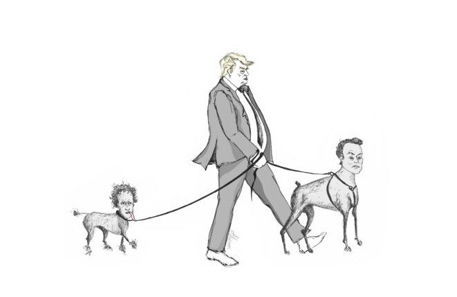 Trump & ses followers