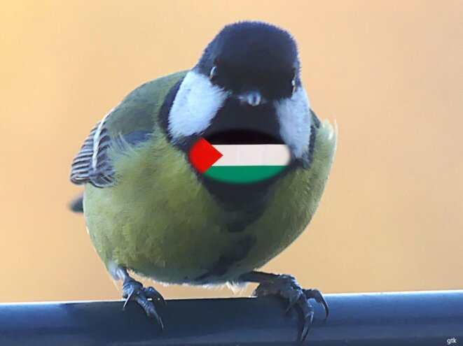 Un cessez-le feu, enfin ?