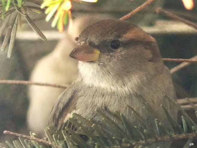 Vivre dehors, sans avoir de toit
