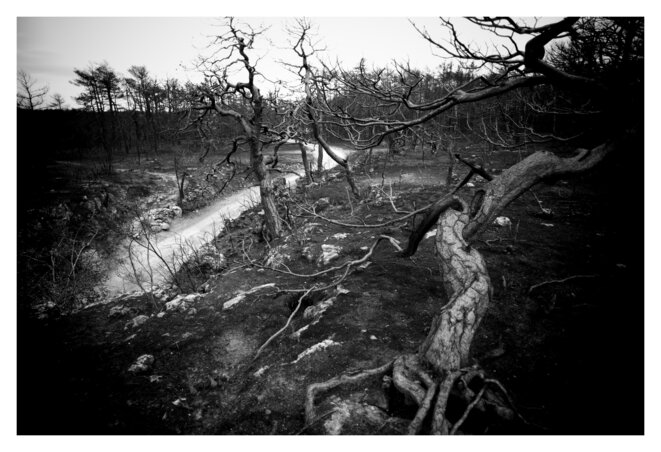 L'écologie, un coupable idéal...