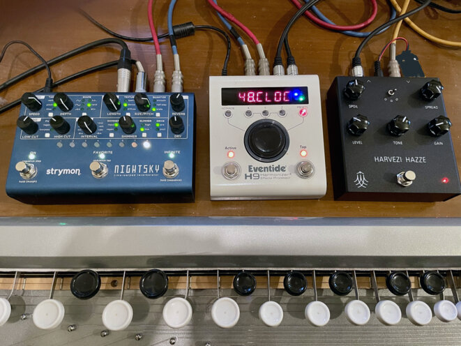 Les oreilles en vrille et la petite cuisine