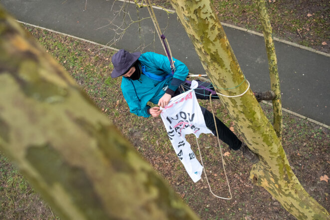 Canal Seine-Nord Europe: des militants occupent des arbres contre le «chantier du siècle»