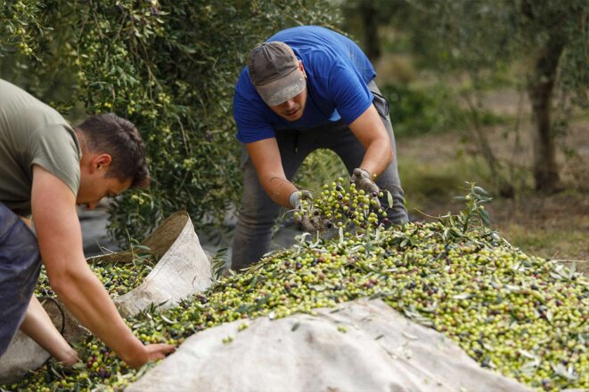 La croissance de l’Espagne, un modèle illusoire pour la gauche