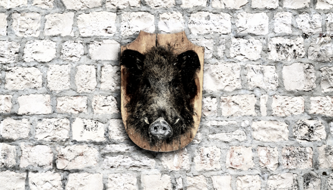 Votre slip est-il 100% anti-woke ?