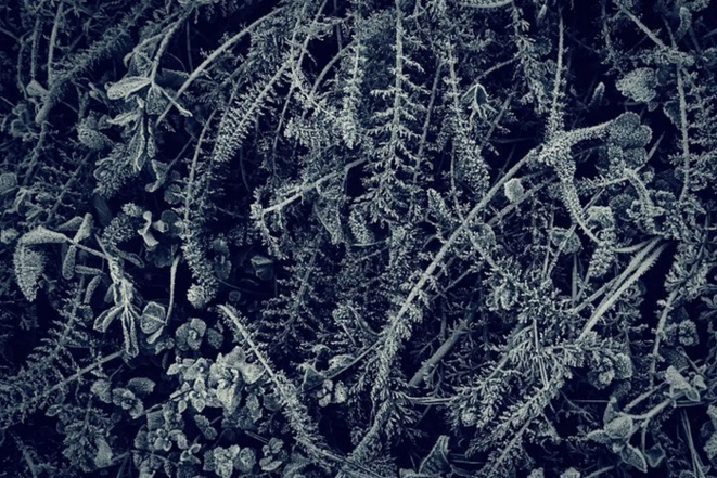 Etude du développement neurologique, nous avons besoin d'un cadre transdiagnostique