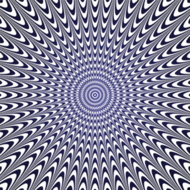 Le nectar du racisme