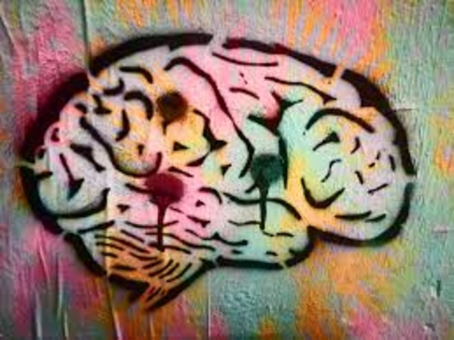 Vers un séparatisme neuronal ?