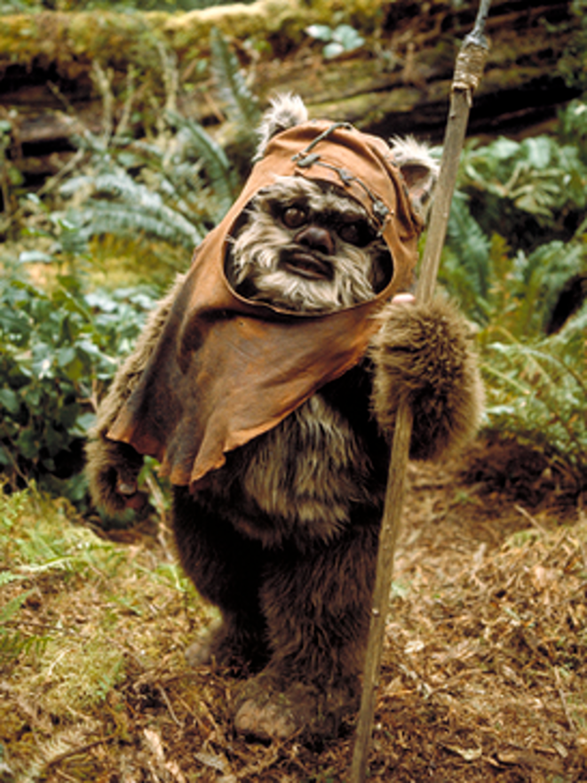 Le réveil des Ewoks