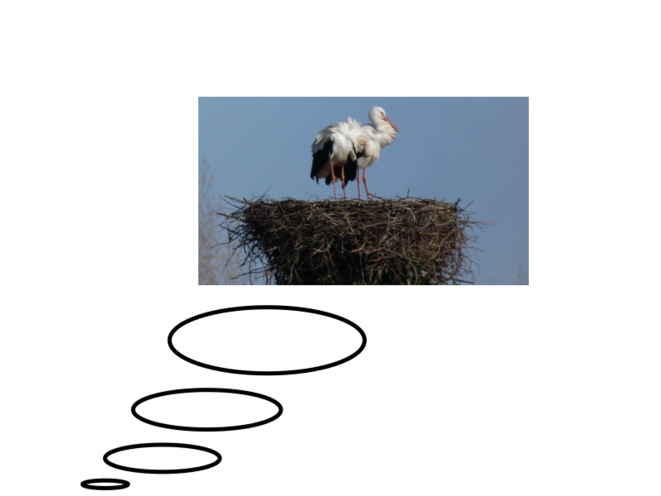 Qui réveillera Lebo de Soupolé ? 9/Z