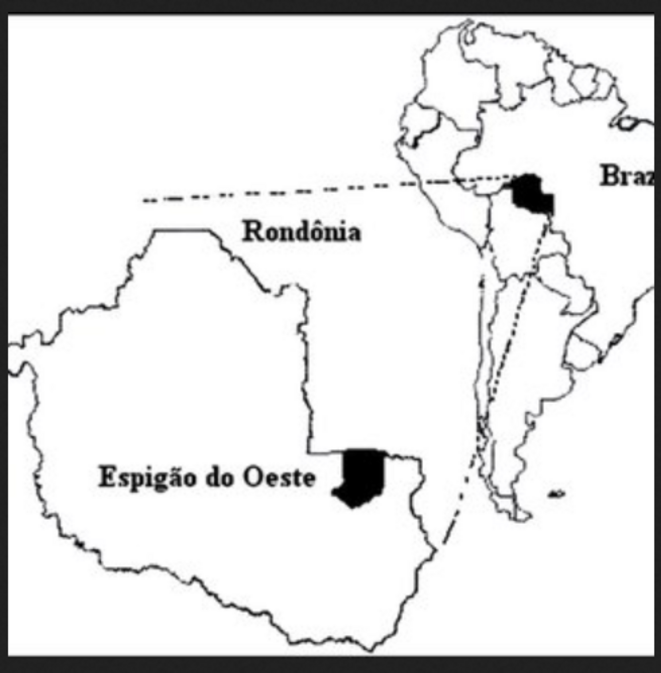 Rondônia (Brésil): pillards miniers et orpailleurs en terre indigène démarquée