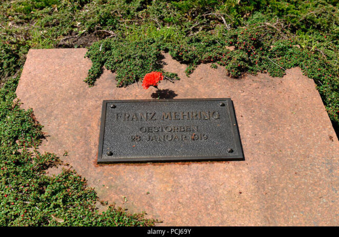 Les plaques de R. Luxemburg, K. Liebknecht, F. Mehring volées