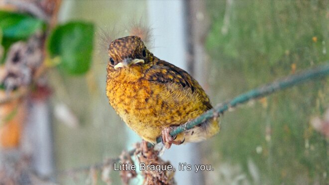Noëlle Pujol, réalisatrice de Regarde avec mes yeux et donne moi les tiens
