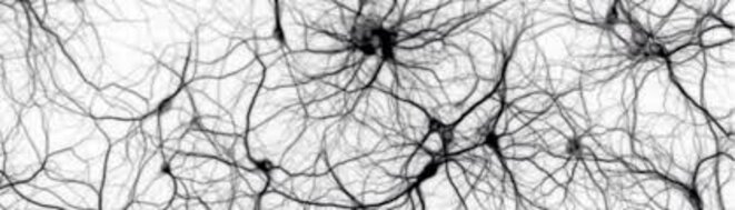 Attention, enfants ! (6) : l’hyperactivité comme symptôme social