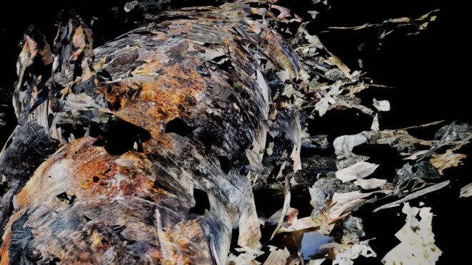 Entretien avec Ali Vanderkruyk, réalisatrice de Six Knots