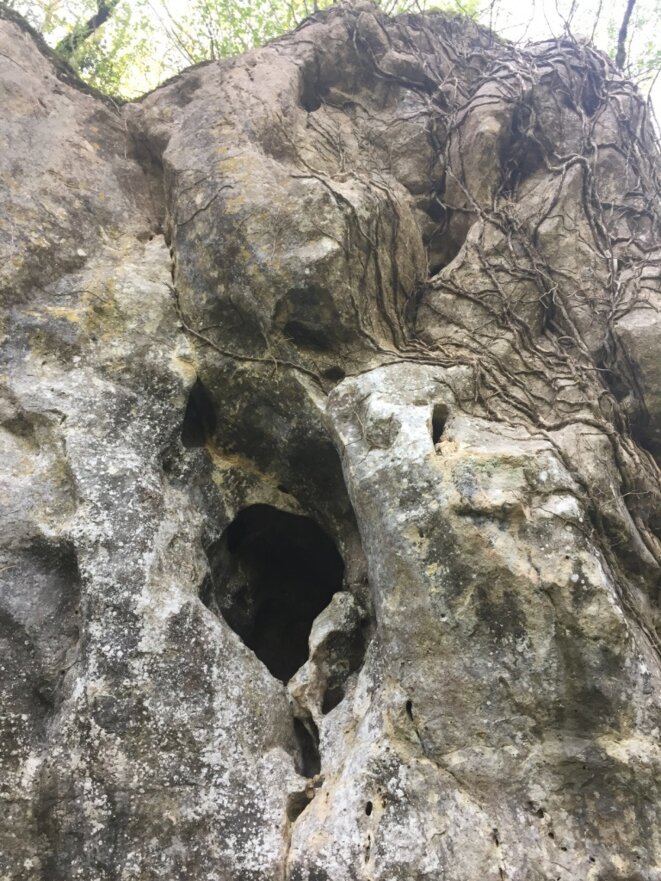 Trump et ses semblables…Le juge, cet ultime et fragile rempart