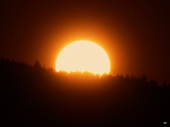 Et que vive la Palestine…